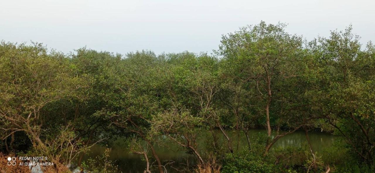 Shruthi'S Aarohi-Nature'S Retreat Mulappilangād Exterior foto