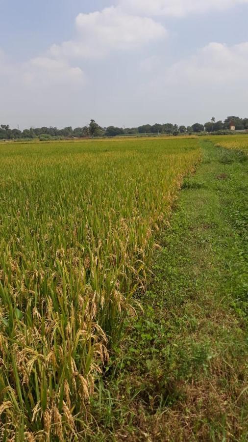 Shruthi'S Aarohi-Nature'S Retreat Mulappilangād Exterior foto