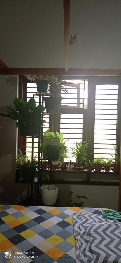 Shruthi'S Aarohi-Nature'S Retreat Mulappilangād Exterior foto