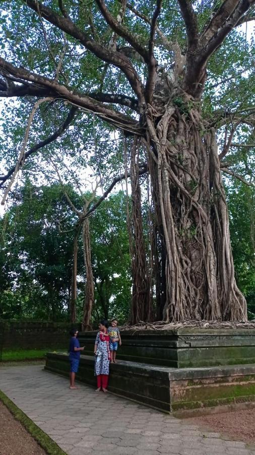 Shruthi'S Aarohi-Nature'S Retreat Mulappilangād Exterior foto
