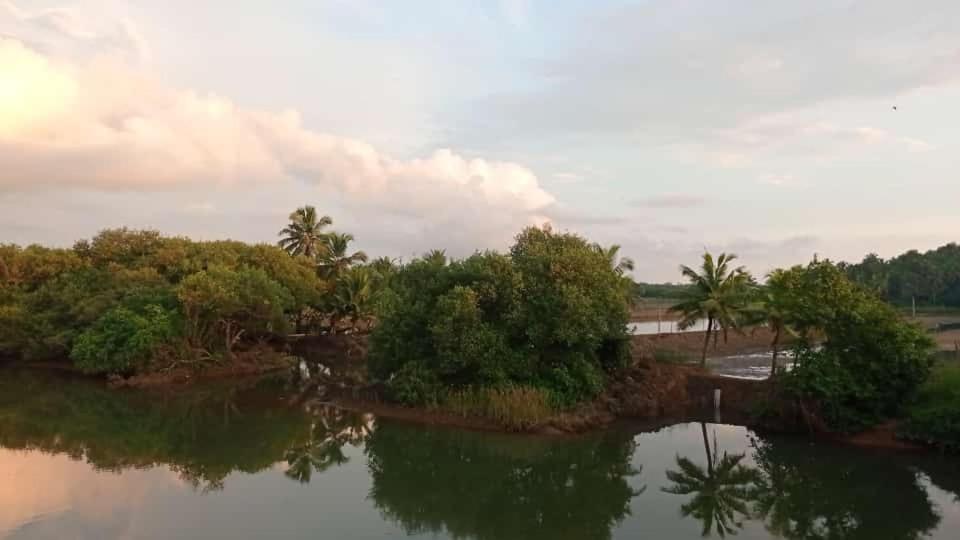 Shruthi'S Aarohi-Nature'S Retreat Mulappilangād Exterior foto